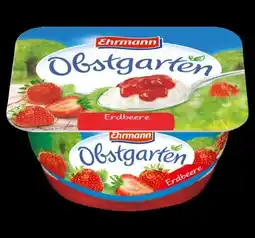 PENNY Ehrmann Obstgarten Erdbeere Angebot