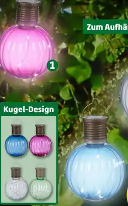 PENNY Solar-Deko-Leuchte Angebot