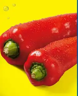 Lidl Roter Spitzpaprika Angebot