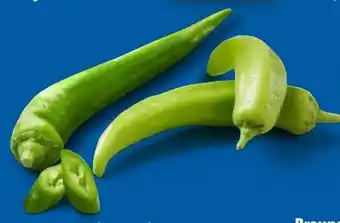 Lidl Grüner Spitzpaprika Angebot
