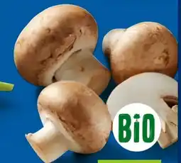 Lidl Bio Kulturchampignons Angebot
