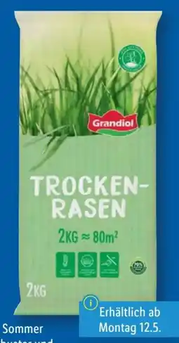 Lidl Grandiol Trockenrasen Angebot