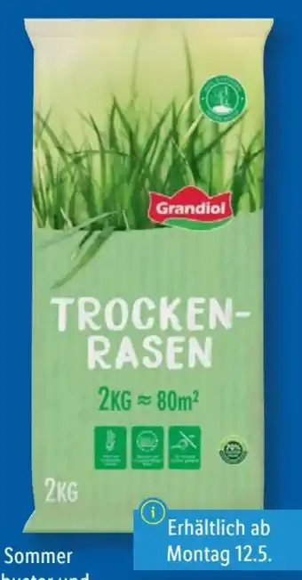 Lidl Grandiol Trockenrasen Angebot