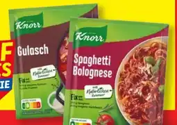 Lidl Knorr Fix Angebot