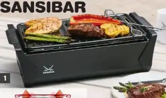 Lidl Sansibar Holzkohlegrill Angebot