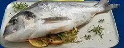 Lidl Fischerstolz Dorade Angebot
