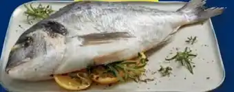 Lidl Fischerstolz Dorade Angebot