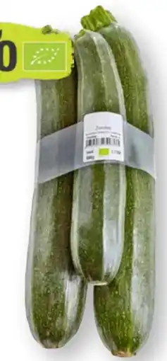 Scheck-in-Center Bio-Zucchini Angebot
