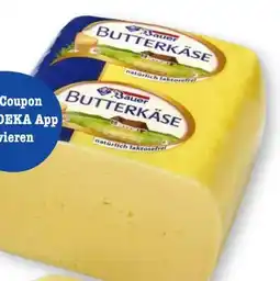 Scheck-in-Center Bauer Butterkäse Angebot