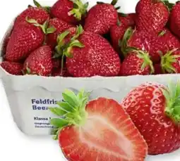Scheck-in-Center Erdbeeren Angebot