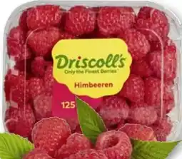 Scheck-in-Center Driscoll's Himbeeren Angebot