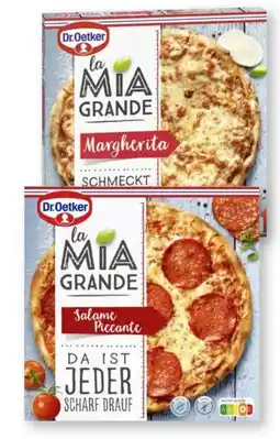 Scheck-in-Center Dr. Oetker Pizza la Mia Grande Salame Piccante Angebot