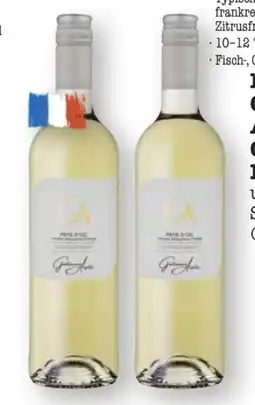 Scheck-in-Center Guillaume Aurèle Chardonnay Pays d‘Oc Angebot