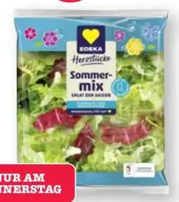 Scheck-in-Center Edeka Herzstücke Sommermix Angebot