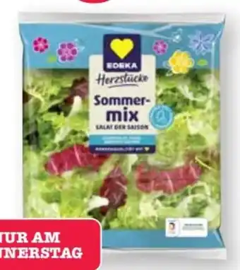 Scheck-in-Center Edeka Herzstücke Sommermix Angebot