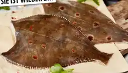 Edeka Marinierte Scholle Angebot