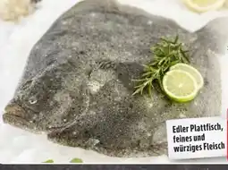 Edeka Steinbutt Angebot