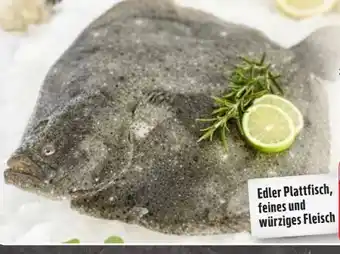 Edeka Steinbutt Angebot