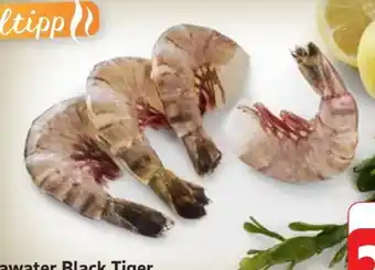 Edeka Seawater Black Tiger Gambas Angebot
