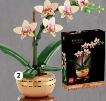 Edeka LEGO 10343 Botanical Mini-Orchidee Angebot