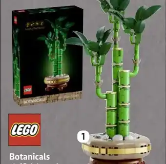 Edeka LEGO 10344 Botanicals Glücks-Bambus Angebot