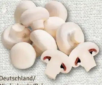nahkauf Champignons Angebot