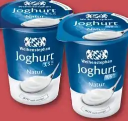 REWE Center Weihenstephan Joghurt Mild Angebot
