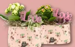REWE Center Kleiner Dank Angebot