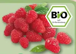 REWE Center Rewe Bio Bio-Himbeeren Angebot