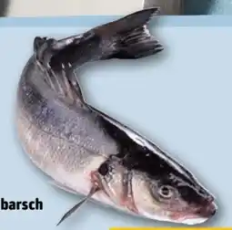 REWE Center Wolfsbarsch Angebot