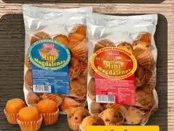REWE Center Monti Kuchen Mini Magdalenas Angebot