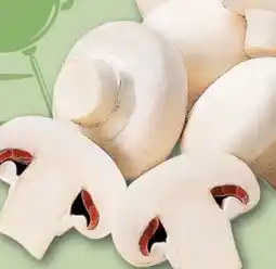 REWE Center Champignons Angebot