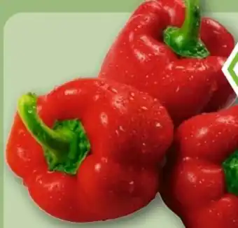 REWE Center Rewe Bio Rote Paprika Angebot