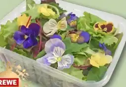 REWE Center Rewe Feine Welt Blütensalat Mix Angebot