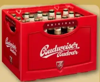 REWE Center Budweiser Budvar (CZ) Czech Premium Lager Angebot