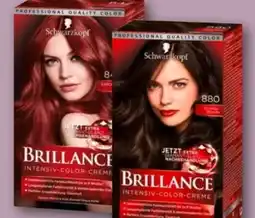 REWE Center Schwarzkopf Brillance Intensiv-Color Creme Angebot