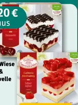 REWE Coppenrath & Wiese Cafeteria fein sahnig Donauwelle Angebot