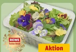 REWE Rewe Feine Welt Blütensalat Mix Angebot