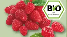 REWE Rewe Bio Bio-Himbeeren Angebot