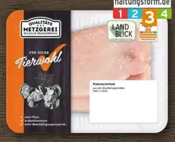 REWE Metzgerei Wilhelm Brandenburg Puten-Schnitzel Angebot