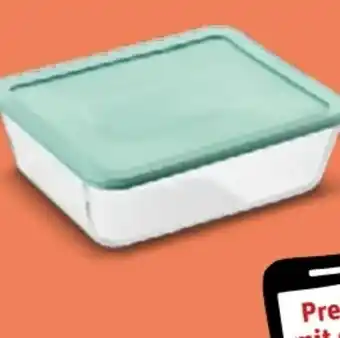 REWE Pyrex Meal Master Angebot
