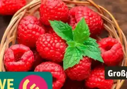 REWE Himbeeren Angebot