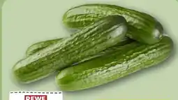 REWE Rewe Regional Mini Gurke Angebot
