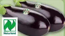 REWE Rewe Bio Aubergine Angebot