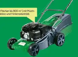 BayWa Wingart Benzin-Rasenmäher 42 SP-A Angebot