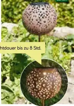 BayWa Flector Garten LED-Solarspieß Angebot