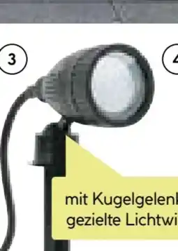 BayWa Eglo LED-Gartenspot Nema Angebot