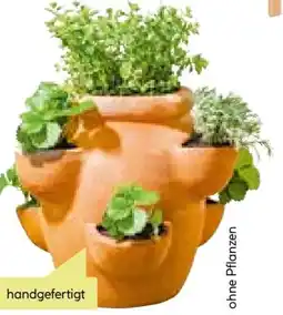 BayWa Haveson Erdbeer Kräutertopf Giardino Angebot