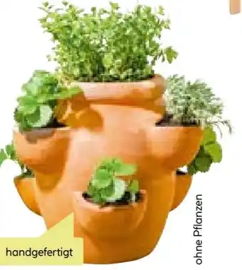 BayWa Haveson Erdbeer Kräutertopf Giardino Angebot