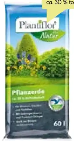 BayWa Plantiflor Pflanzerde Angebot